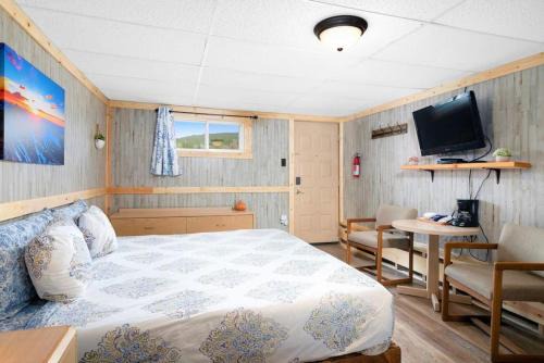Leadville Apartment | 2 Dog Friendly Private Cozy Room in Leadville