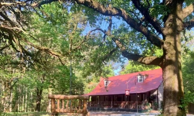 White Cabin | 4 Bedroom Pet Friendly Cabin W/ Fenced Backyard