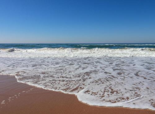 Kingsborough Apartment | 407 L'Escalier Cabanas -Beachfront Paradise