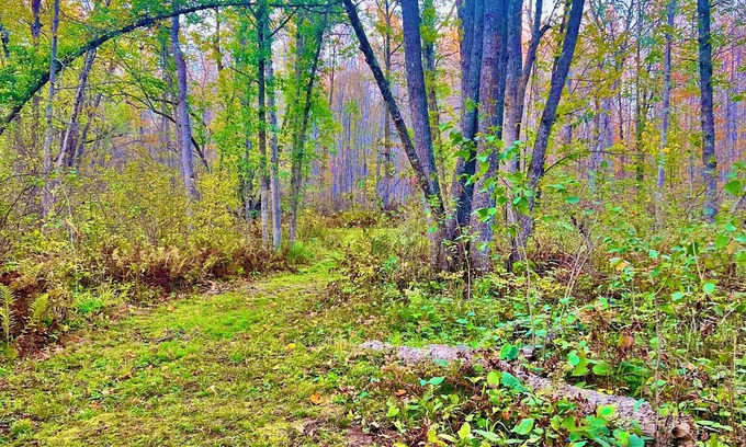 Sturgeon Lake RV Rental | 9 Acres of Secluded Freedom along the Kettle River in Sturgeon Lake, MN
