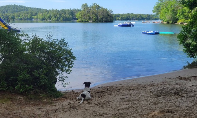 Wolfeboro Cabin | a few days left in August. price drop!