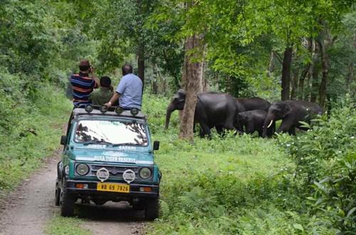 Alipurduar Cabin | Aaltapori Homestay