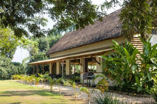 Mabira Other | Adrift Overland Camp