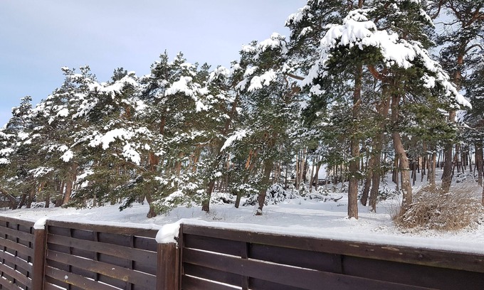 Westerhausen House | 🎄Adventstadt🎄 Quedlinburg Wernigerode 🚂Brockenbahn 🧹Hexentanzplatz🧹