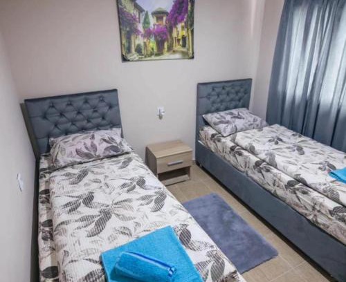 Foca Other | Adventure Tara