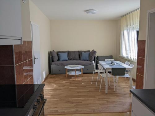 Kraljevo Apartment | Affordable and Newly Renovated 1-bedroom Apartment
