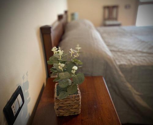 Trecenta Bed & Breakfast | Agriturismo La Bisa