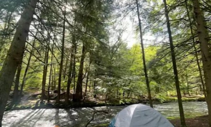 Harris RV Rental | Akuniel & Guatu Ninaru -River Sites Taino Woods