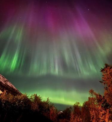 Tromso Apartment | Alkove Apartment