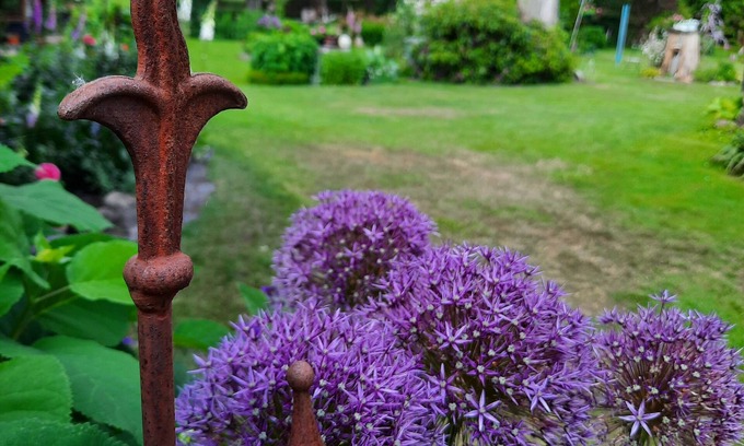 Muden Apartment | "Am Apfelbaum" vacation apartment. An oasis of peace surrounded by a garden paradise.