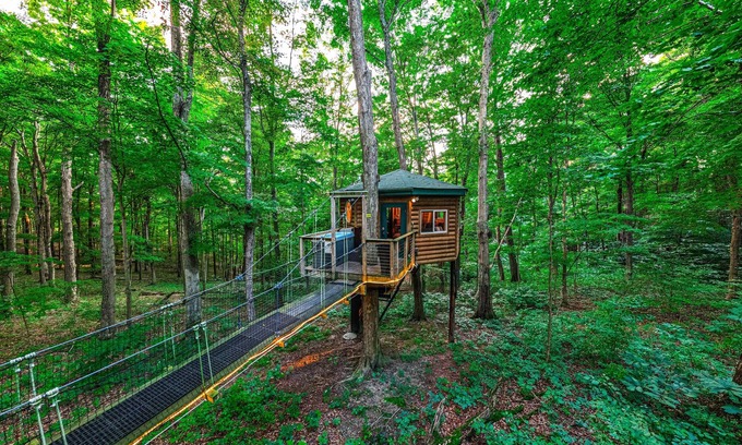Logan Cabin | Among the Trees - The Nest