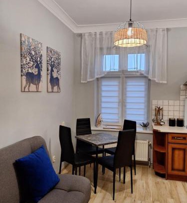 Chełmza Apartment | Apartament Chełmża