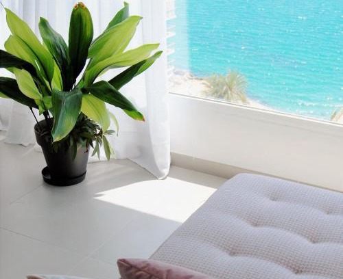 L'Albufereta Apartment | Apartamento con vistas al mar