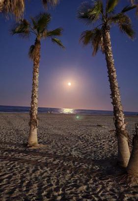 Canet de Berenguer Apartment | Apartamento de lujo en Canet de Berenguer a 150 m de la playa