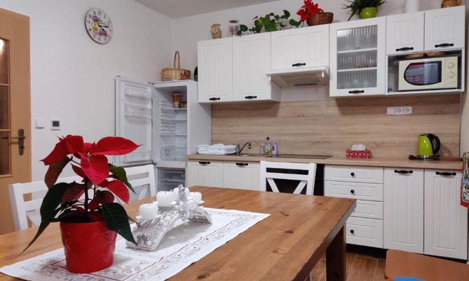 Jachymov House | Apartmán pod Božím Darem