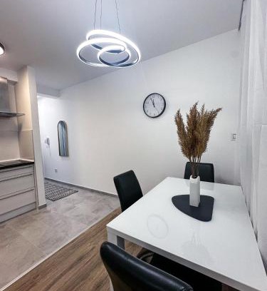 Banja Koviljaca Apartment | Apartman Jelena II