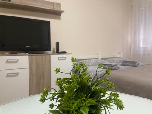 Paracin Apartment | Apartman Lea