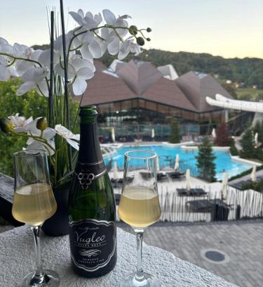 Ravne na Koroskem Apartment | Apartman O Terme Olimia