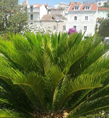 Vrpolje Apartment | Apartmani kike