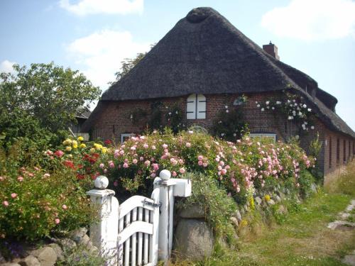 Emmelsbuell-Horsbuell Apartment | Apartment Seestern