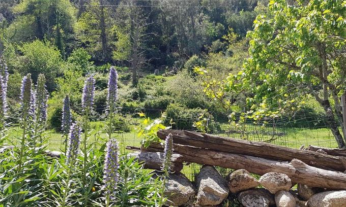 Mela Apartment | Apartment / Studio in the mountains with covered terrace for 2 people in Corsica