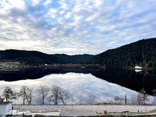 Gerardmer Apartment | Appartement Neuf VUE LAC 6/8pers