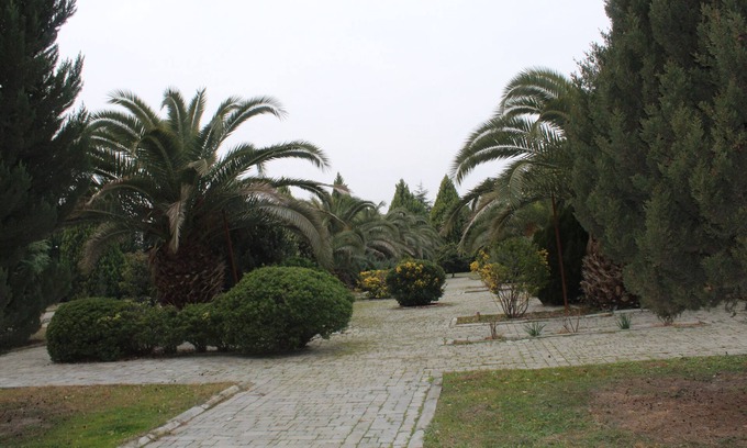 Azerbaijan Hotel | Arena Hotel Agdash