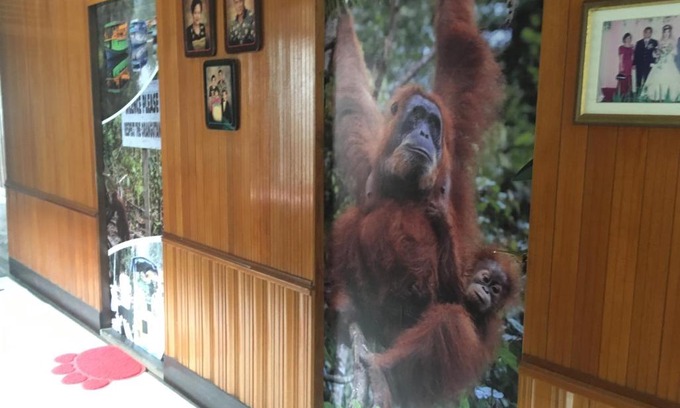 Pangkalan Bun House | Arut Riverside Guesthouse