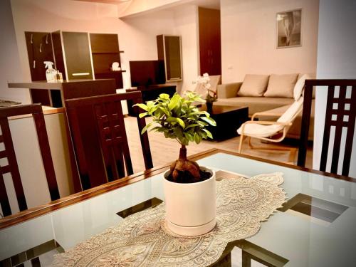 Timisoara Apartment | Asgard Residence Apartaments