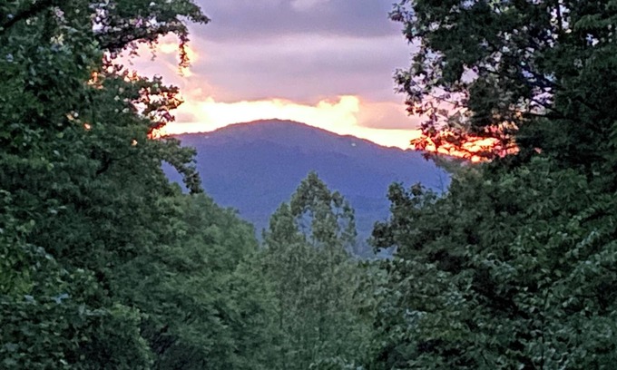 Fletcher Cabin | Asheville Mtn Side Cabin: Large Porch-HotTub-Mtn Trail-2 Streams-7 Wooded Acres!