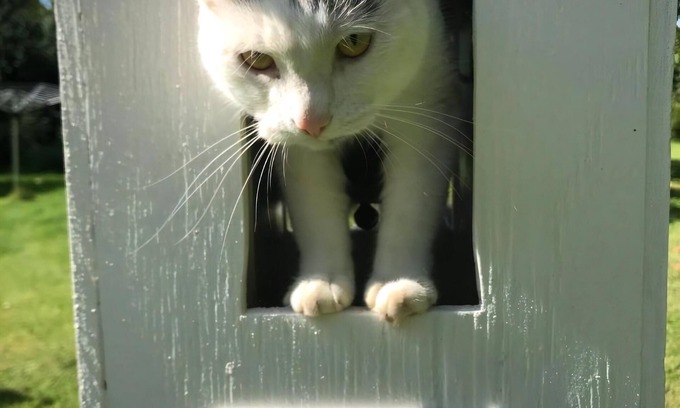 Motala House | Awesome home in Motala with WiFi and 0 Bedrooms