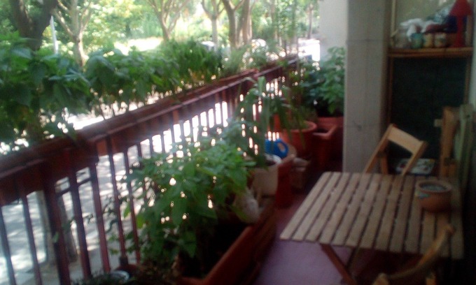 Rimini Bed & Breakfast | B&B Acquario