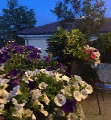 Lavino Di Mezzo Bed & Breakfast | B&B Pitstop