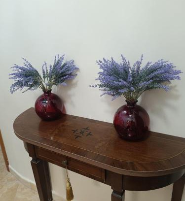 Catanzaro Hotel | B E B Hotel Alexia