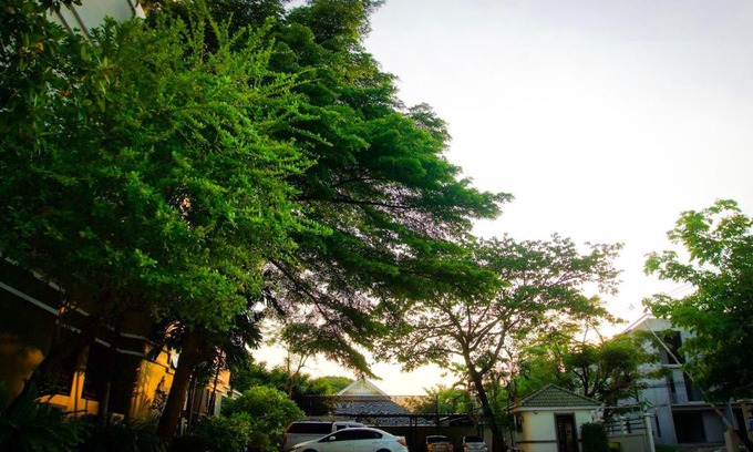 Rangsit Apartment | Baan Boonanan Apartment