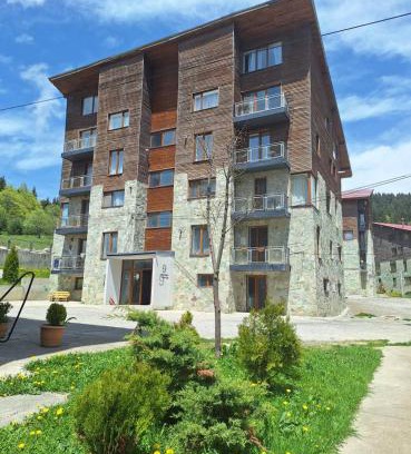 Bakuriani Apartment | Bakuriani Villa Monte