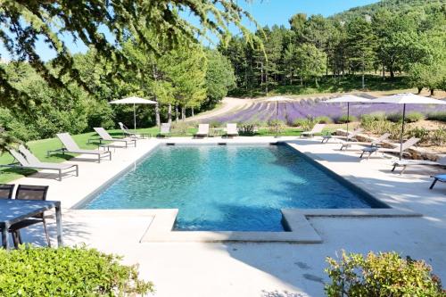Apt House | Bastide de l'Esclat - Pool - lavender fields