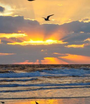 West Panama City Beach Apartment | Beach Place Seconds to Beach 23