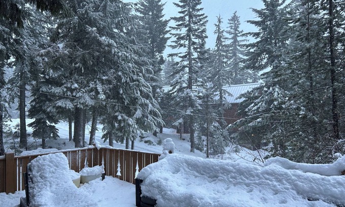 Government Camp Cabin | Bearcat Lodge - Gov't Camp Retreat @ Timberline