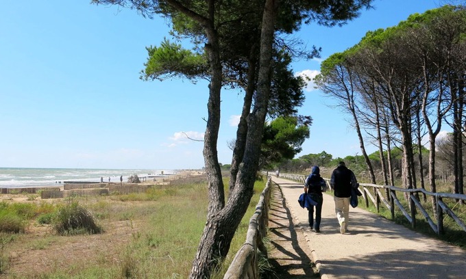 Bibione Lido del Sole Apartment | Beautiful apartment for 4 people with A/C, TV, terrace, pets allowed and parking