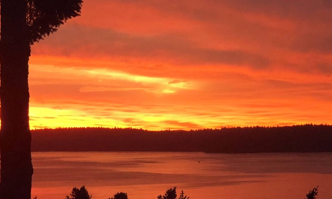 Kodiak Apartment | Beautiful channel view, short walk to town. 2 bedrm apt, private entrance.