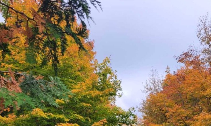 Manitoulin District House | Beautiful Lake Front Cottage