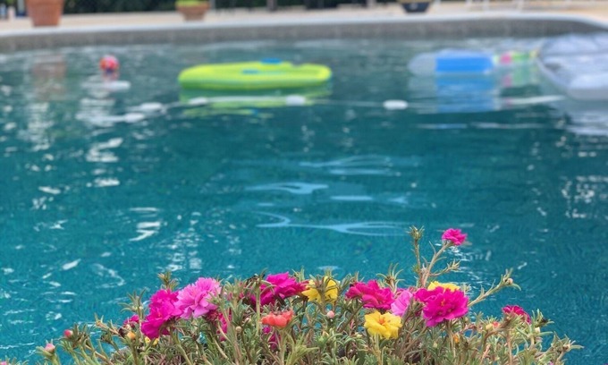 Statesboro House | Beautiful mid-century ranch with POOL!