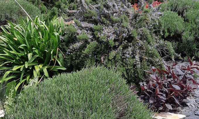 Miniac-Morvan House | Bed and breakfast at the inhabitant