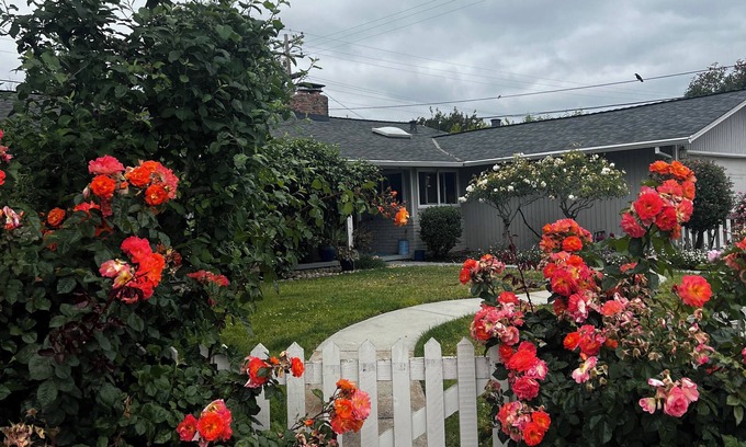 Sunnyvale West House | Bedrm & Bath with large backyard in charming house in Sunnyvale!