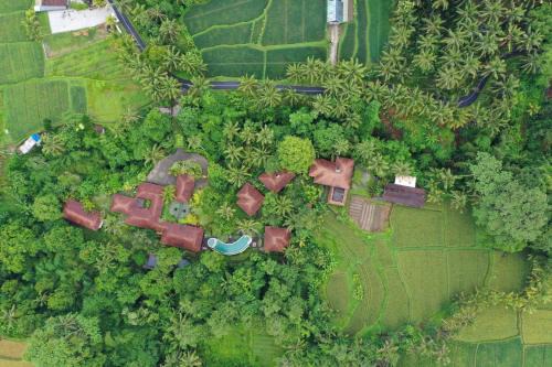 Melayang Resort | BeingSattvaa Luxury Ubud