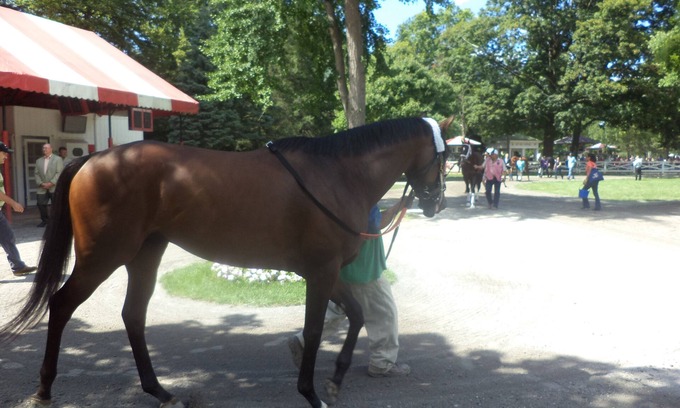 Saratoga Springs Apartment | BELMONT RENTAL ONE OF A KIND! Backs up on OK Training Track.