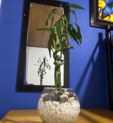 Usaquen Hotel | Best Habitaciones tranquilas Usaquen