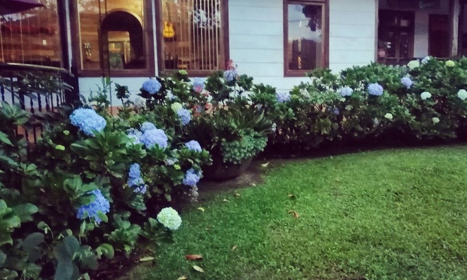 Pacuare Reserve Bed & Breakfast | Best immersion experience in a Farm at Finca Queveri