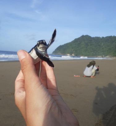 Sumberagung House | Big Daddy's surfcamp